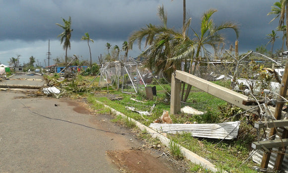 Snapshot from Major David Noakes in Fiji